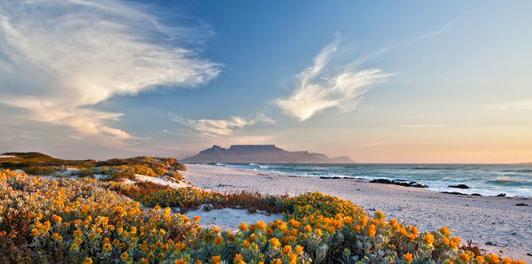 5-Star Safari  Tours, couples and flights holiday experience